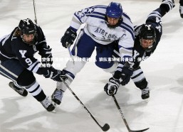 悟空体育官网-伊瓦诺维奇破门，狼队客场逆转晋级，伊万诺维奇 足球