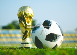 悟空体育官网-日本篮球联赛：东京武士成功卫冕冠军，日本篮球联赛2021