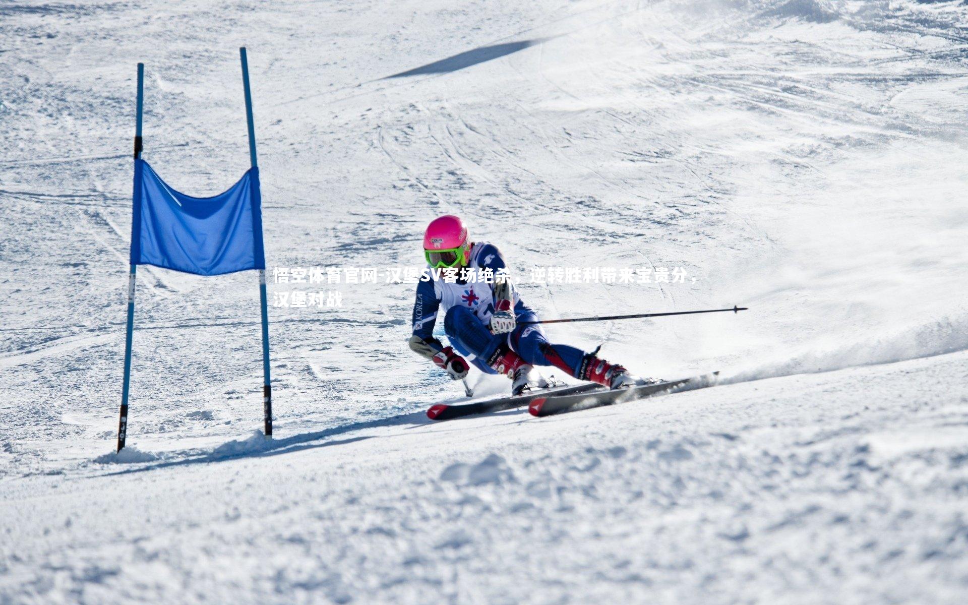 汉堡SV客场绝杀,逆转胜利带来宝贵分,汉堡对战