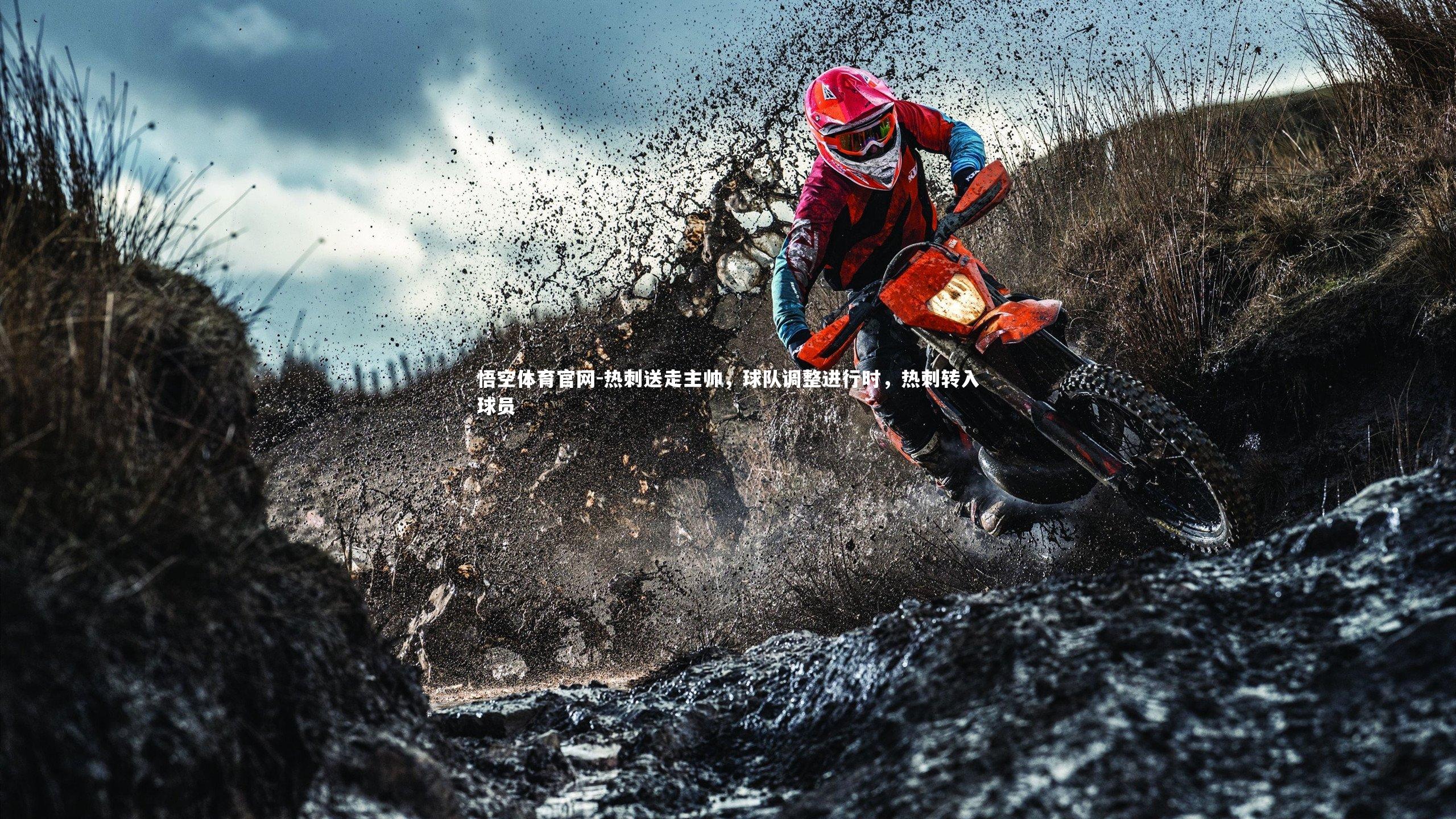 热刺送走主帅,球队调整进行时,热刺转入球员