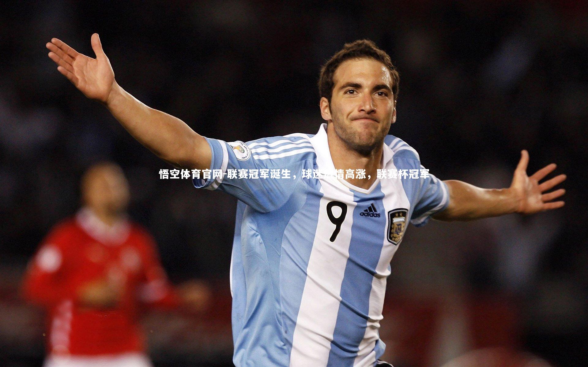 联赛冠军诞生,球迷热情高涨,联赛杯冠军