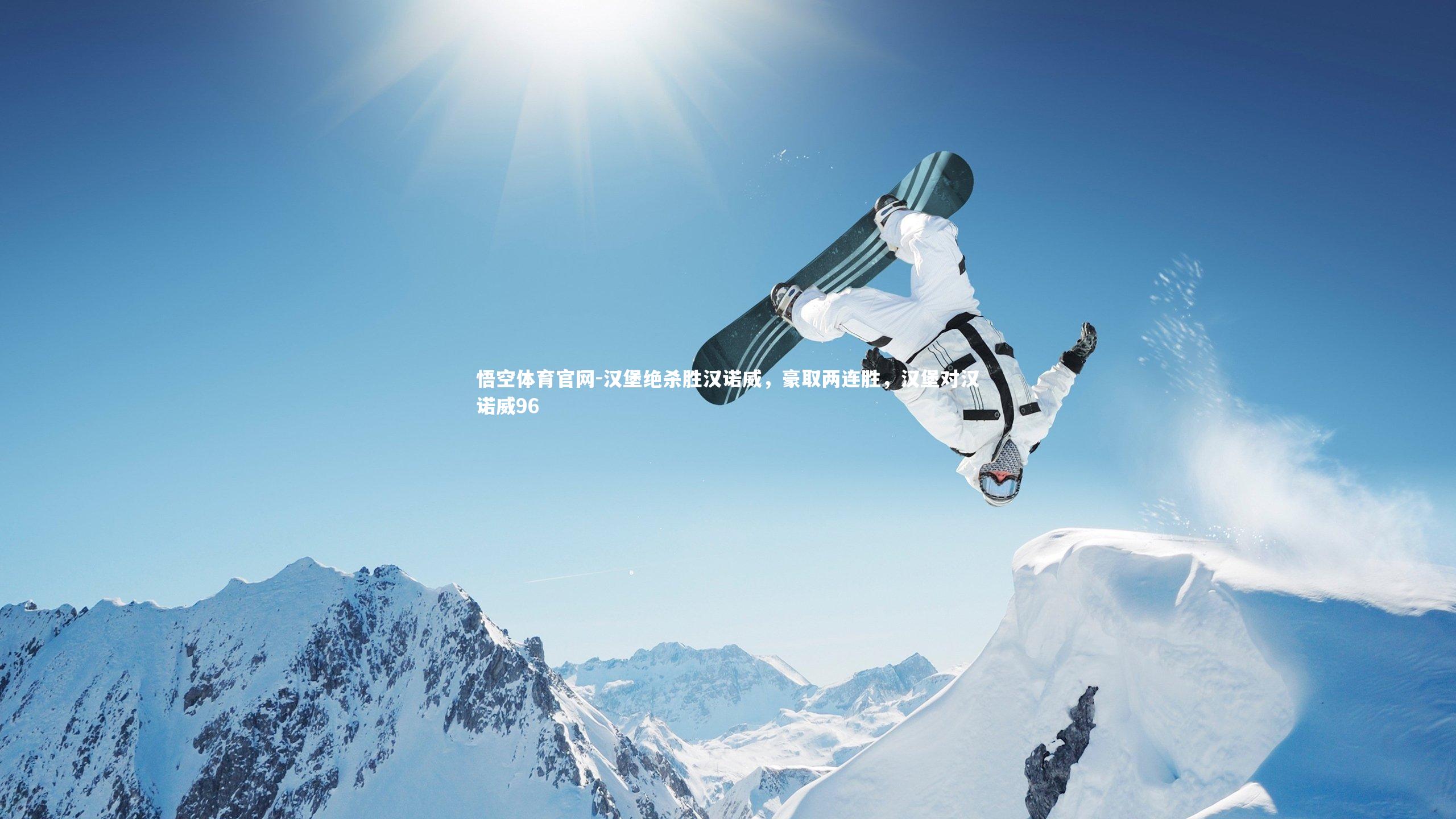 汉堡绝杀胜汉诺威,豪取两连胜,汉堡对汉诺威96