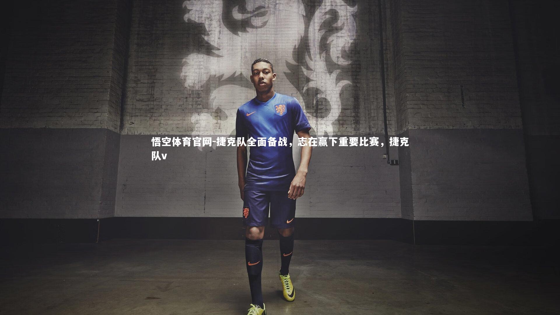 捷克队全面备战,志在赢下重要比赛,捷克队v