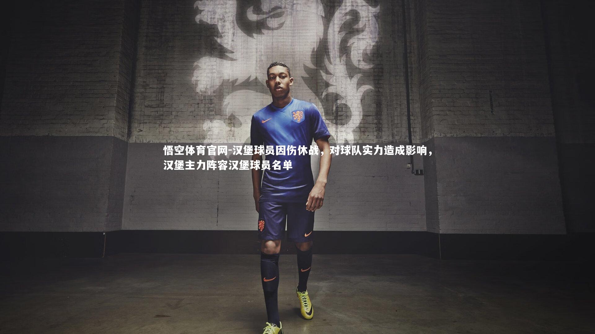 汉堡球员因伤休战,对球队实力造成影响,汉堡主力阵容汉堡球员名单