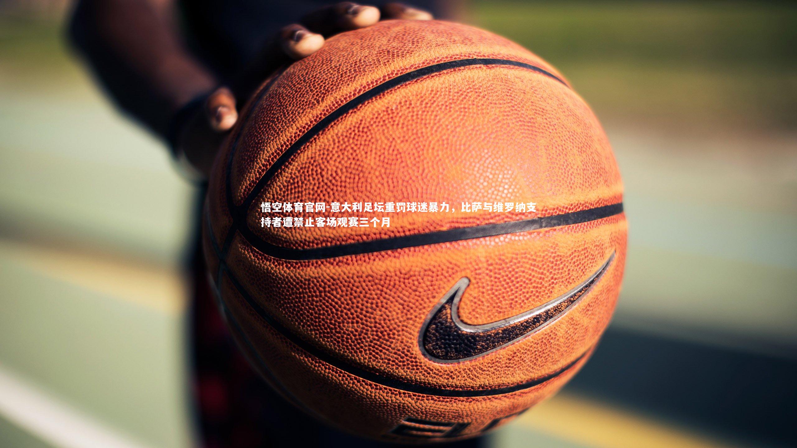 意大利足坛重罚球迷暴力，比萨与维罗纳支持者遭禁止客场观赛三个月